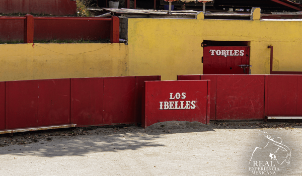 Los Ibelles