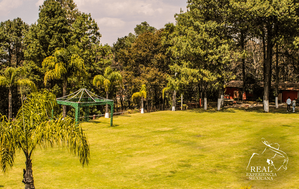 Rancho Ibelles